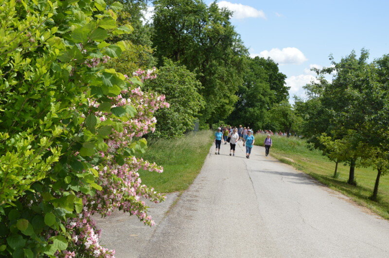 Christi Himmelfahrt Wanderung